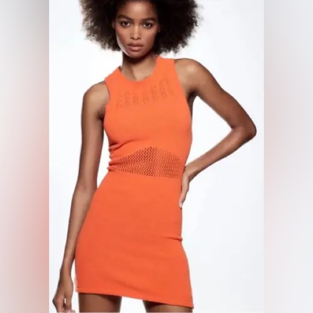 Zara Knit Mini Dress NWT